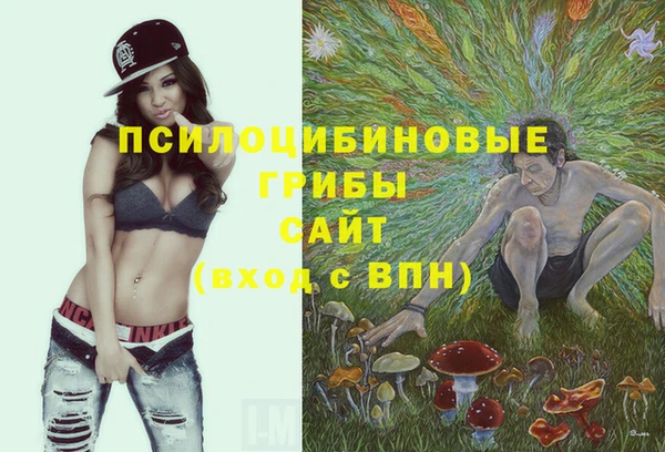 трава Алексин