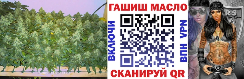 Купить закладки  Сураж  ТГК вейп с тгк 