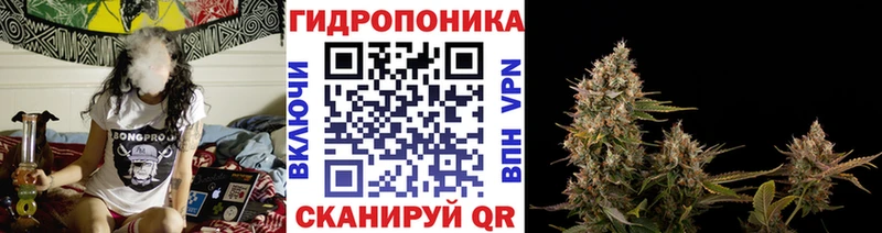 Каннабис тримм Сураж