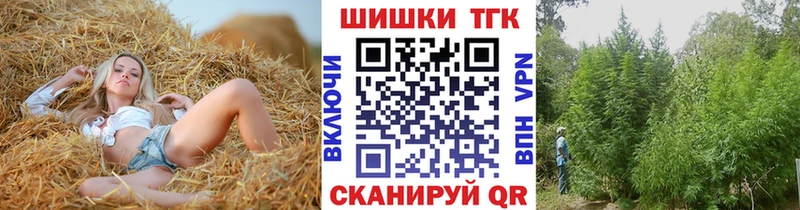 Канабис сатива  Купить где  Сураж 